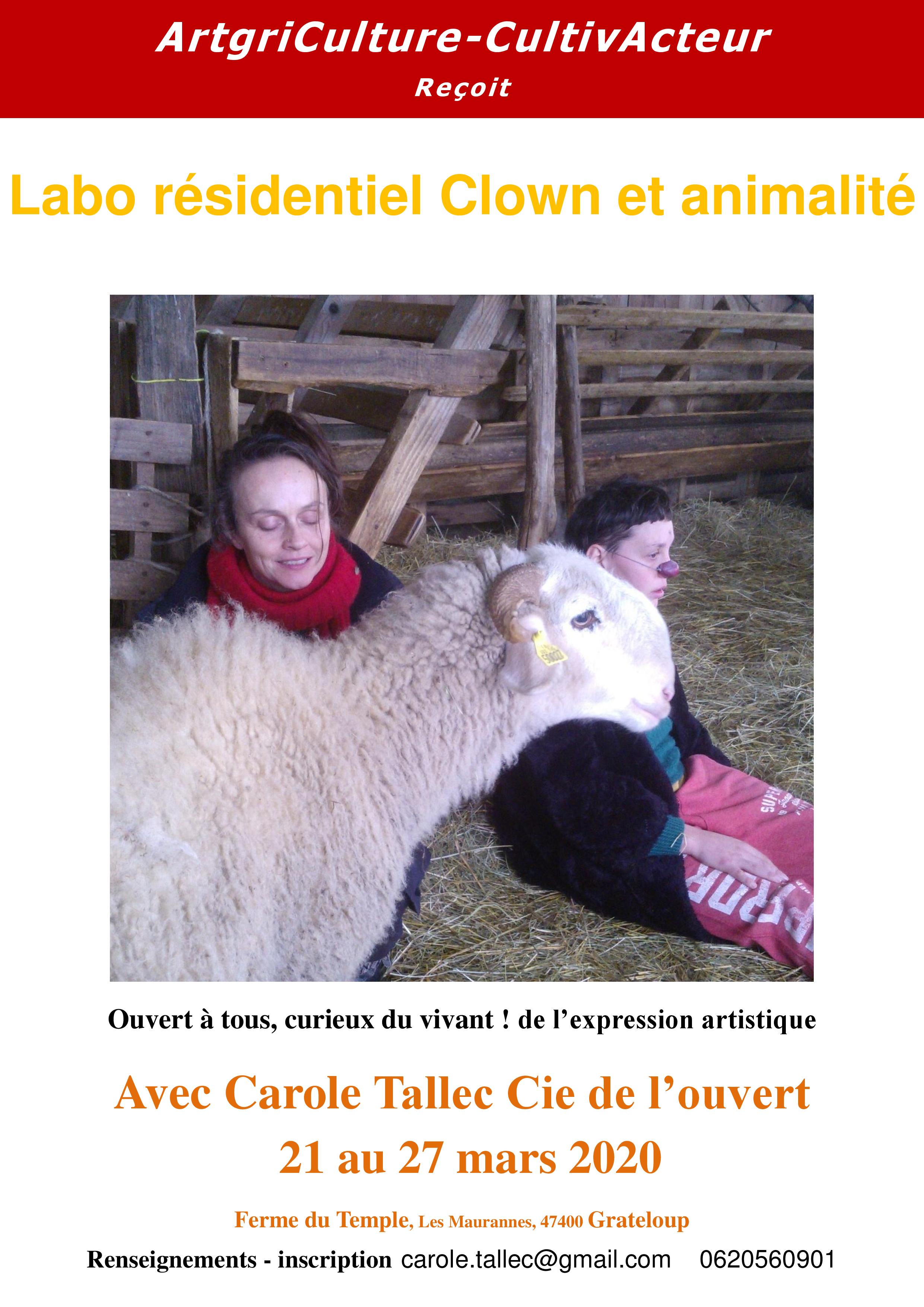 Labo "Clown et animalité" avec Carole Tallec
