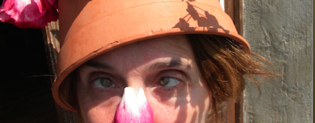 Stage clown : Ecriture et construction 2026