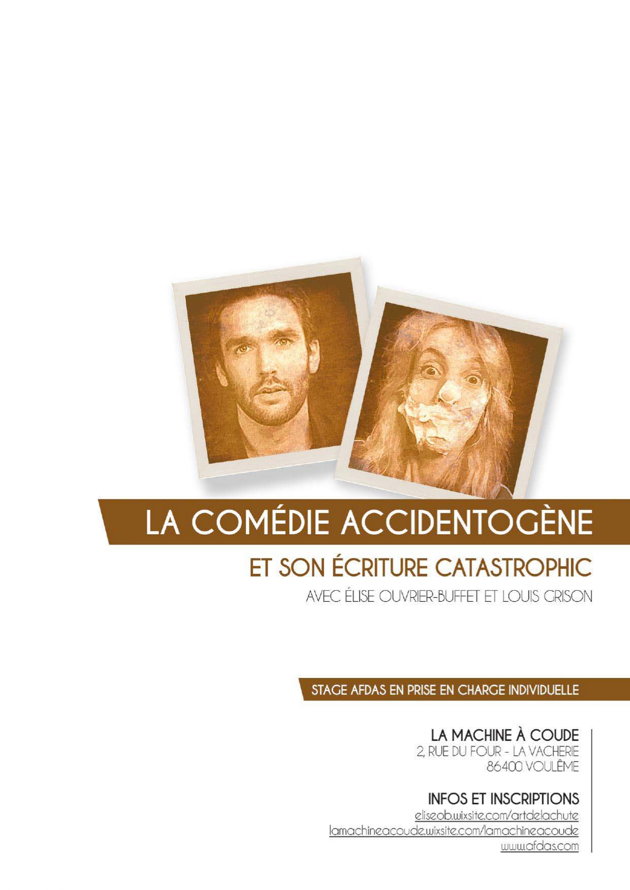 Comédie accidentogène et son écriture castrophic