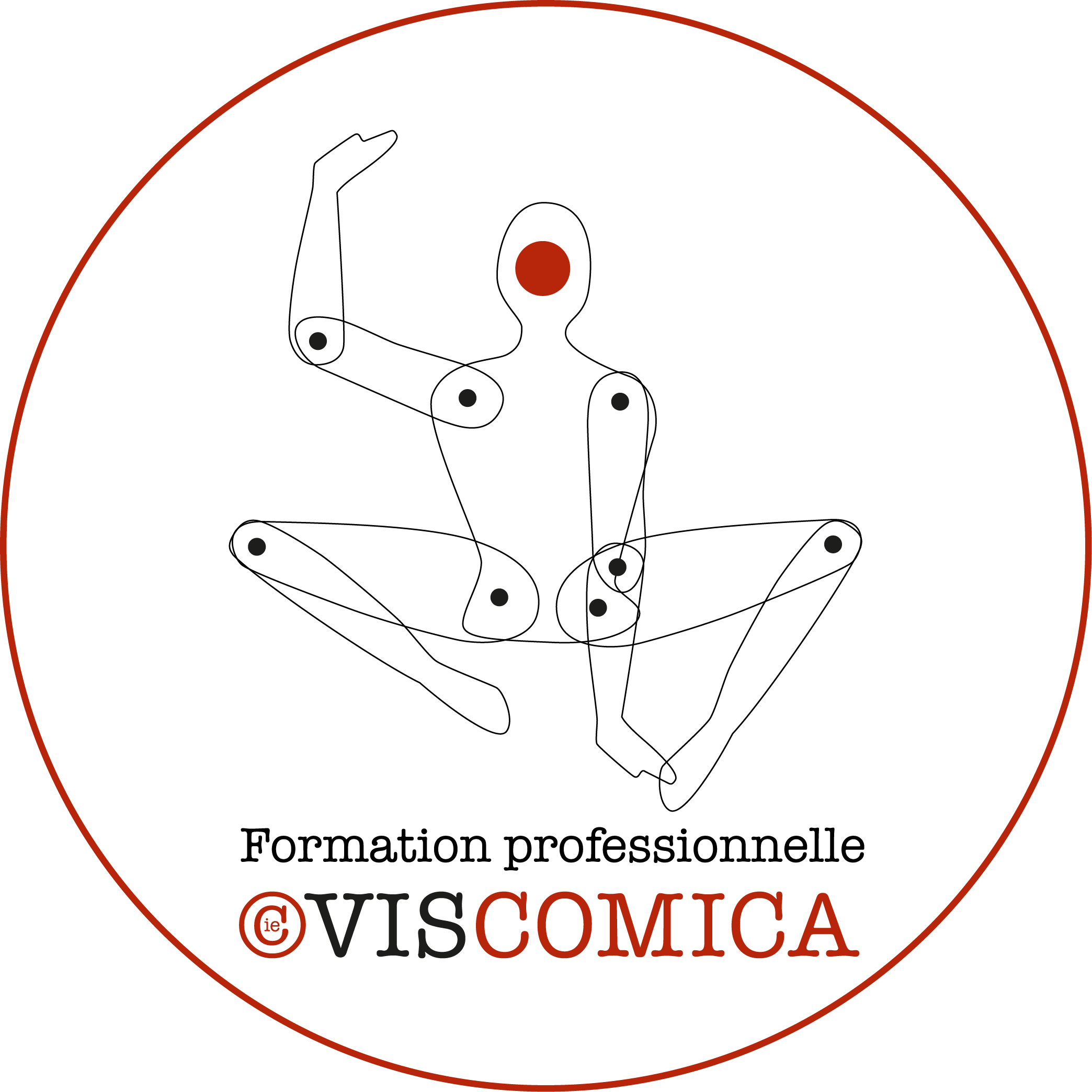 vis comica formation professionnelle