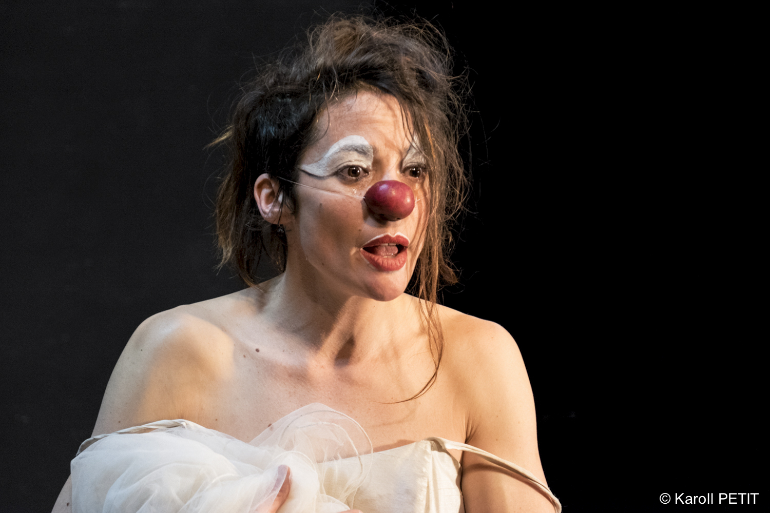 Ecriture pour le clown: la dramaturgie du propos