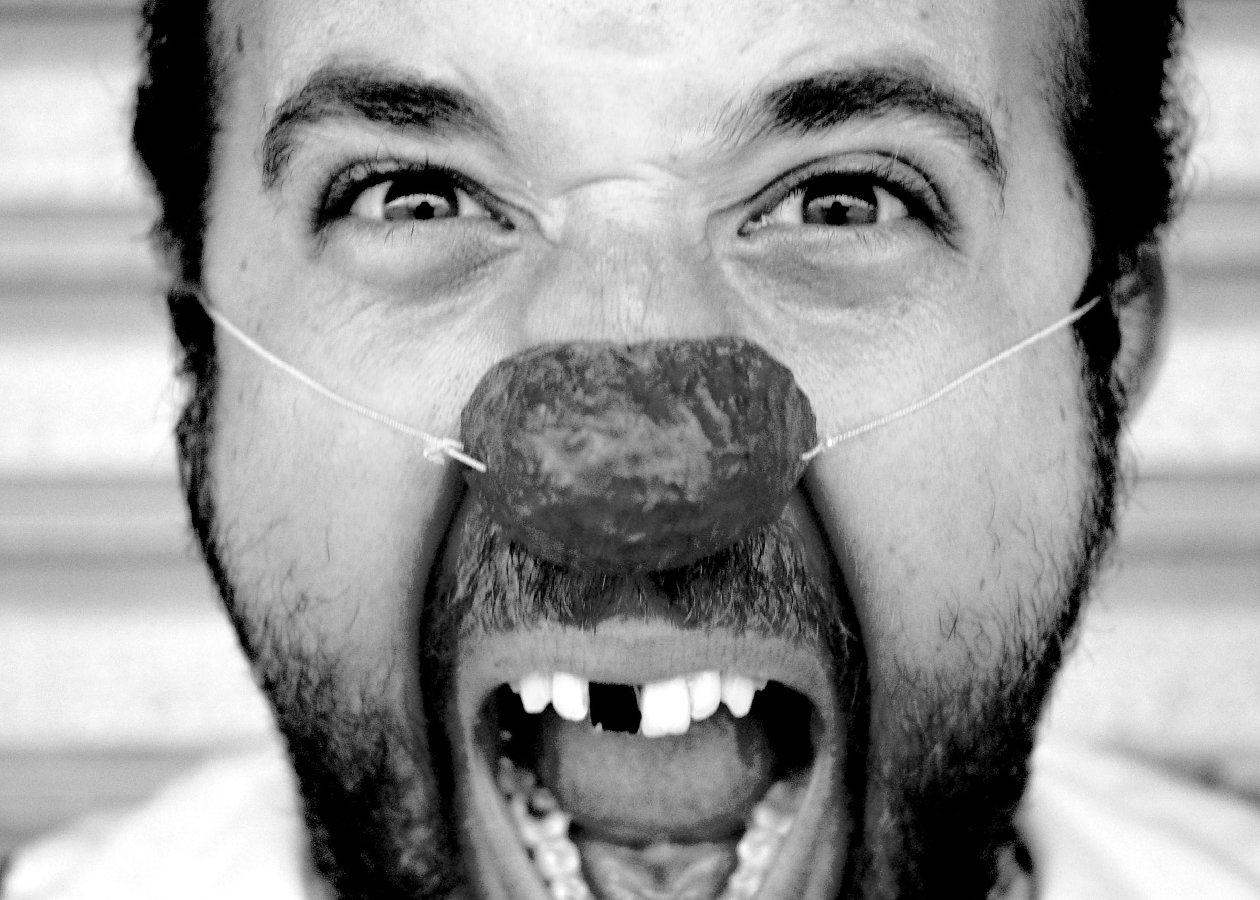 De l'état à l'expression. Pour une approche sensible de la création