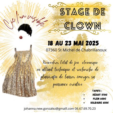 Clown en immersion