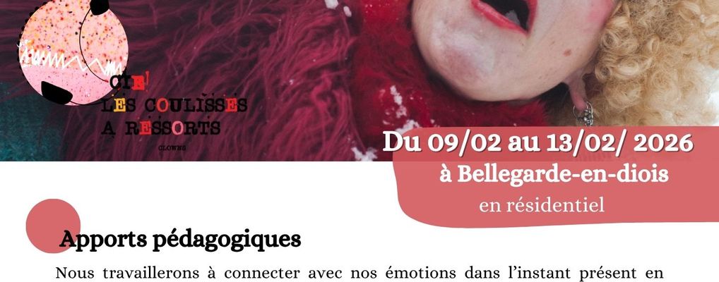 Formation le clown en duo