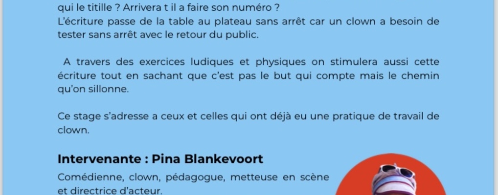 Stage clown écriture juin/juillet 2026 Pina Blankevoort